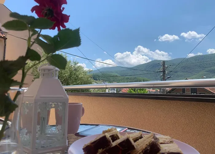 Bambi Сокобаня